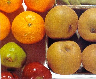 fruta1.jpg (29904 bytes)